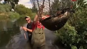 #Ловля #крупного #окуня на #живца