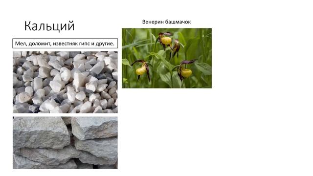 Что могут рассказать растения? Почвы и полезные ископаемые смотреть онлайн