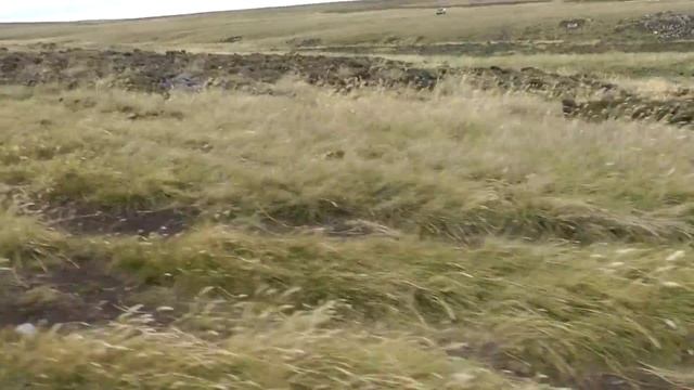 Фолклендские острова. Стэнли. Falkland Islands смотреть онлайн