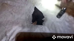 замена гидрокомпенсатора нексия