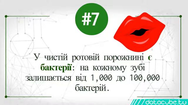 12 фактів про бактерії цікава інформація про їх значення для людини смотреть онлайн