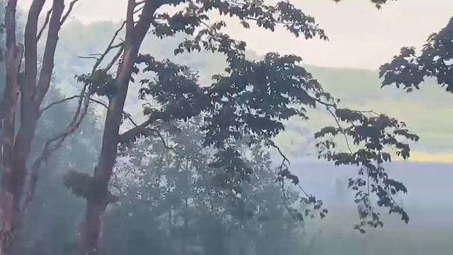 Кругловская свалка горит синим пламенем смотреть онлайн