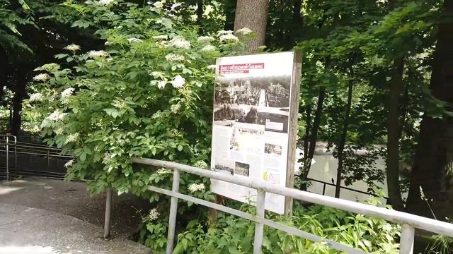 Что посмотреть в Калининграде? Калининградский зоопарк смотреть онлайн