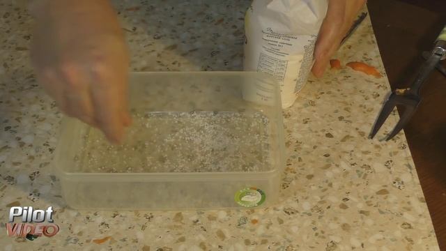 Как солить семгу и форель в домашних условиях смотреть онлайн