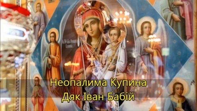 Неопалима Купина ? Ukrainian song | Іван Бабій смотреть онлайн
