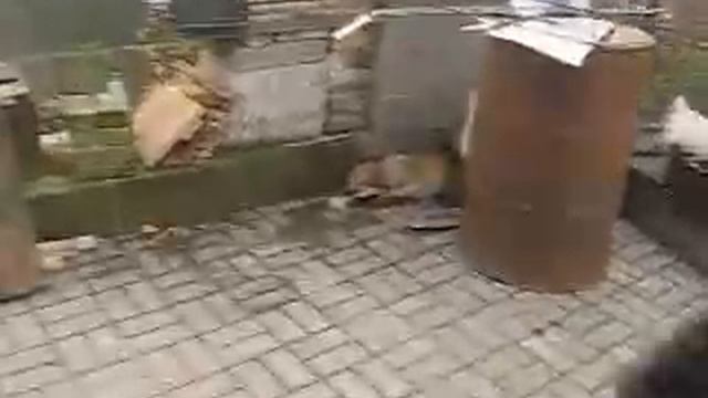 Первые уроки смотреть онлайн