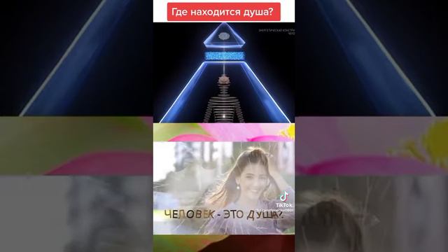 Энергетическая конструкция человека и месторасположение Души в теле. смотреть онлайн