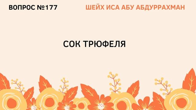 177. Сок трюфеля || Иса Абу Абдуррахман смотреть онлайн
