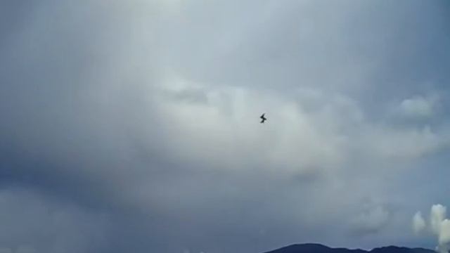 Горный Алтай 2014! смотреть онлайн