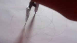 Чертим цветок из циркуля