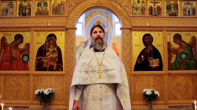 "Блаженны кроткие". Заповеди блаженств (продолжение). Проповедь иерея Димитрия Свистова 09.01.22. смотреть онлайн