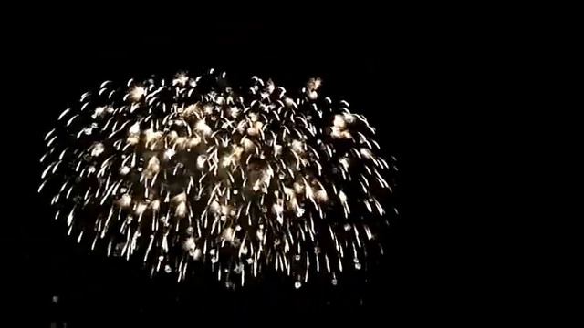 VLOG: салют, кинотеатр, зоопарк, Додо пицца. смотреть онлайн