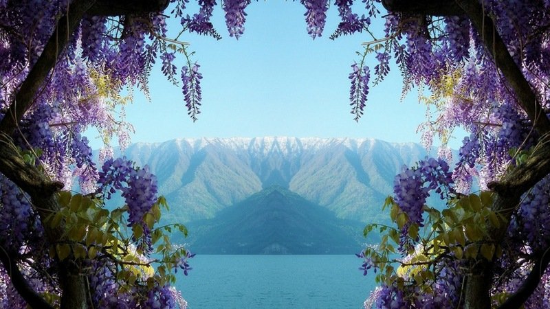 Armik - Dancing Shadows смотреть онлайн