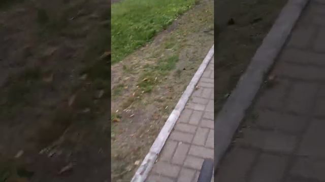 вторая и третья часть на следующие канале Shark xD смотреть онлайн