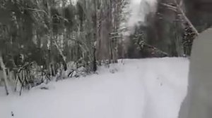 вездеход МедведЬ по целине.AVI