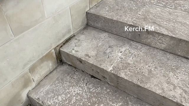 В Керчи Митридатская лестница зарастает травой и мусором. смотреть онлайн