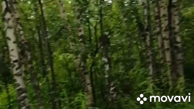 Металлокоп новые находки в,, Железной Экспедиции,, смотреть онлайн