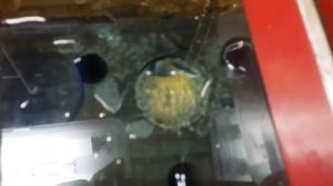 Опрессовка ГБЦ двигателя Д-245 (пробка)