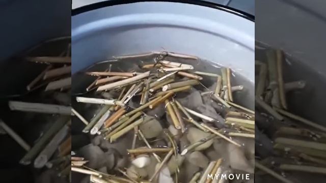 Заготовка На Зиму. Грибы Маринованные. Раскрываю Секрет По Маринаду смотреть онлайн