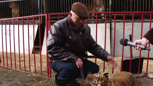 Зоопарк «Сафари» в Пятигорске смотреть онлайн