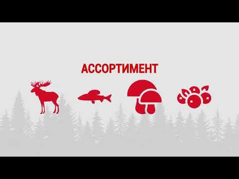 Презентация Дикоед для HoReCa смотреть онлайн