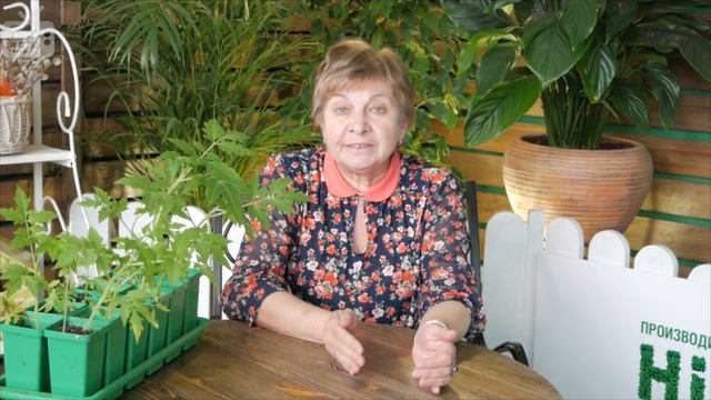 Когда высаживать рассаду в грунт ✅ Советы эксперта на HitsadTV