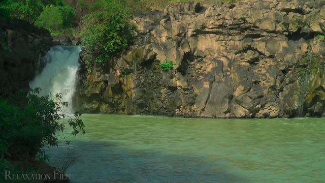 ДЖУНГЛИ. Живописный фильм для релаксации с умиротворяющей расслабляющей музыкой и видео о природе