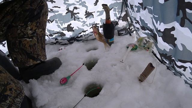 Рыбалка зимой. Долго искал и нашёл рыбу. Ловлю плотву и ельцов. Рыбалка в палатке с обогревом. смотреть онлайн