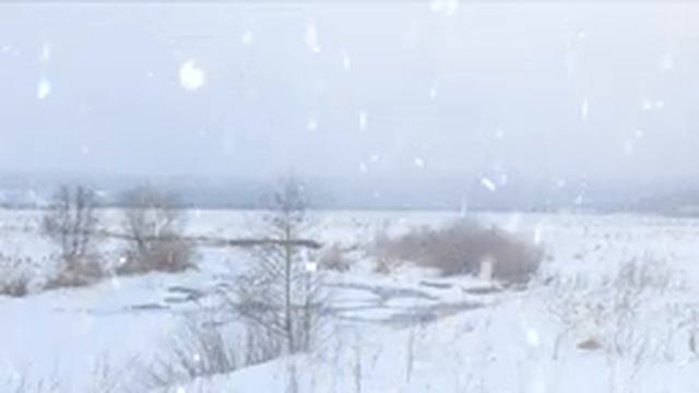 Winter Storm Ambience with Icy Howling Wind Sounds for Sleeping | Звуки метели и вьюги для сна смотреть онлайн