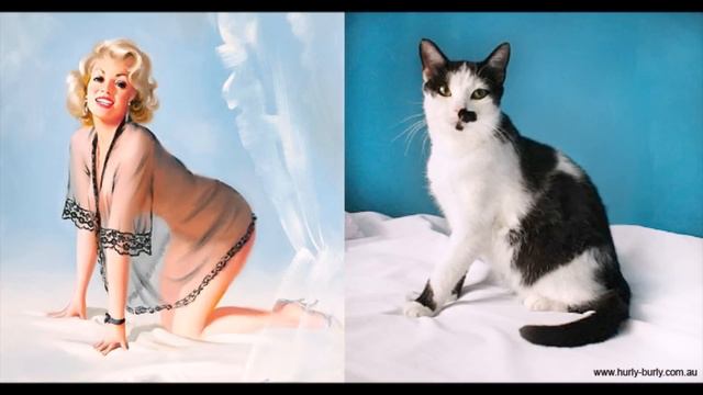 Забавные совпадения поз кошек и девушек, смешные котята YouTubeFotoVideo смотреть онлайн