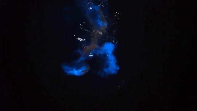 Glowing ocean in Los-Angeles│СВЕТЯЩИЙСЯ ОКЕАН В ЛОС-АНДЖЕЛЕСЕ смотреть онлайн