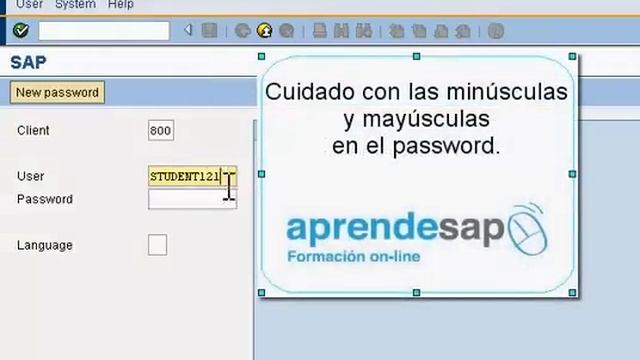 Entra en el sistema SAP por SAP GUI. смотреть онлайн