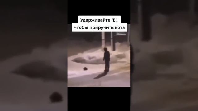 Приручил кота смотреть онлайн