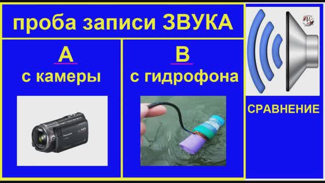 СРАВНЕНИЕ записи Звука с Видеокамеры и Гидрофона. Fishing Angeln Memancing Wędkarstwo. Hydrophone