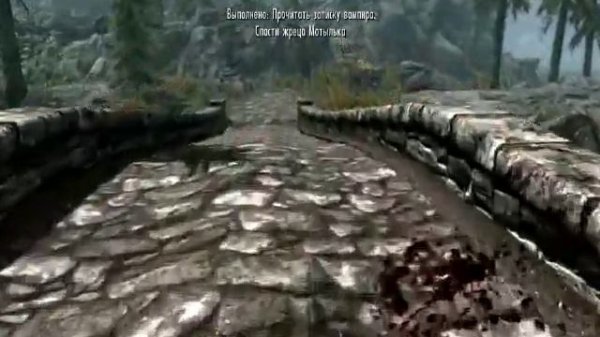 TES V: Skyrim - Dawnguard #3 - В поисках жреца Мотылька