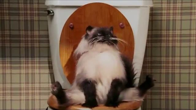 Кот прям как я. смотреть онлайн