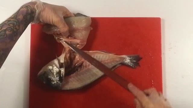 Разделка дорадо на филе :: Digital Food смотреть онлайн