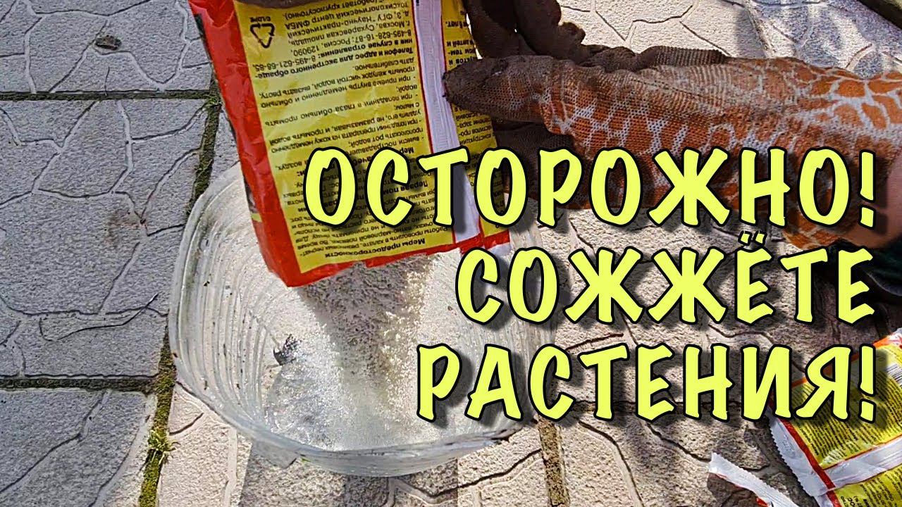 САМАЯ ВАЖНАЯ ОСЕННЯЯ ОБРАБОТКА! ВСЁ про ЖЕЛЕЗНЫЙ КУПОРОС и ЧЕМ ЕЩЁ обработать САД и ОГОРОД осенью смотреть онлайн