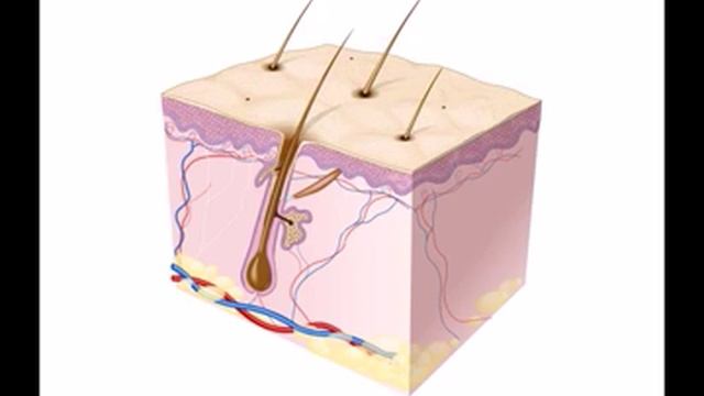 Карбоновый Голливудский пилинг смотреть онлайн