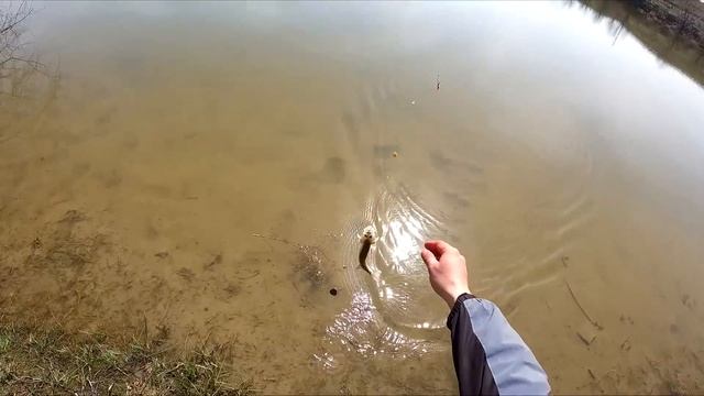 Рыбалка ранней весной! ТРОФЕЙЧИК ВЗЯТ! Как я ждал этого КРАСАВЦА!!! Рыбалка 2023. смотреть онлайн