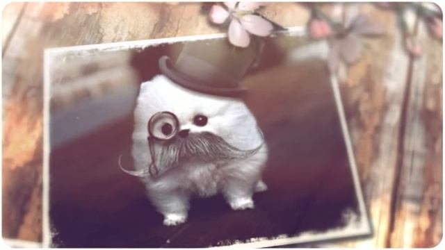 Сделать поздравление с днем рождения смотреть онлайн