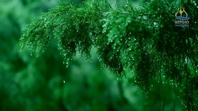 ? ДЕНЬ ЗА ДНЁМ (28 сентября) - Житие прп. Филофея Мравинского (Вифинского) смотреть онлайн