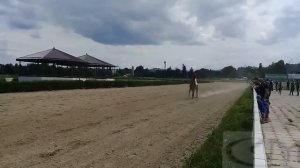 Скачки на Нальчикском ипподроме 09.07.17. Кубок памяти братьев Кардановых