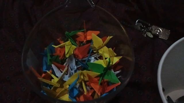 How to play with bird смотреть онлайн