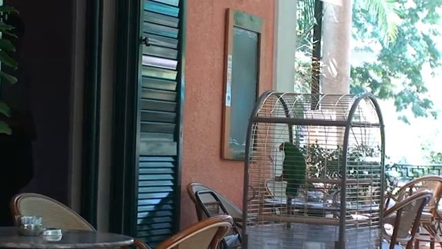 Черногорские картинки смотреть онлайн