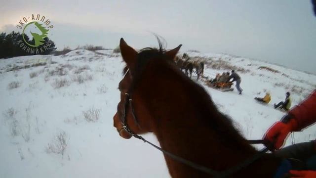 Зима Эко-Аллюр *Новая Каховка* Лошади смотреть онлайн
