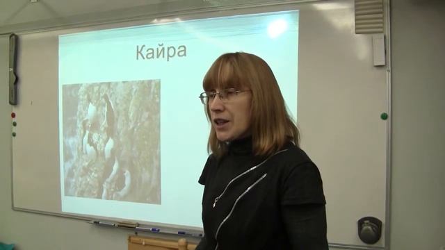 10 02 Природное сообщество моря 4кл смотреть онлайн