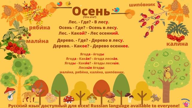 РКИ. Осень в лесу. Дополнение к уроку. PDF под видео смотреть онлайн