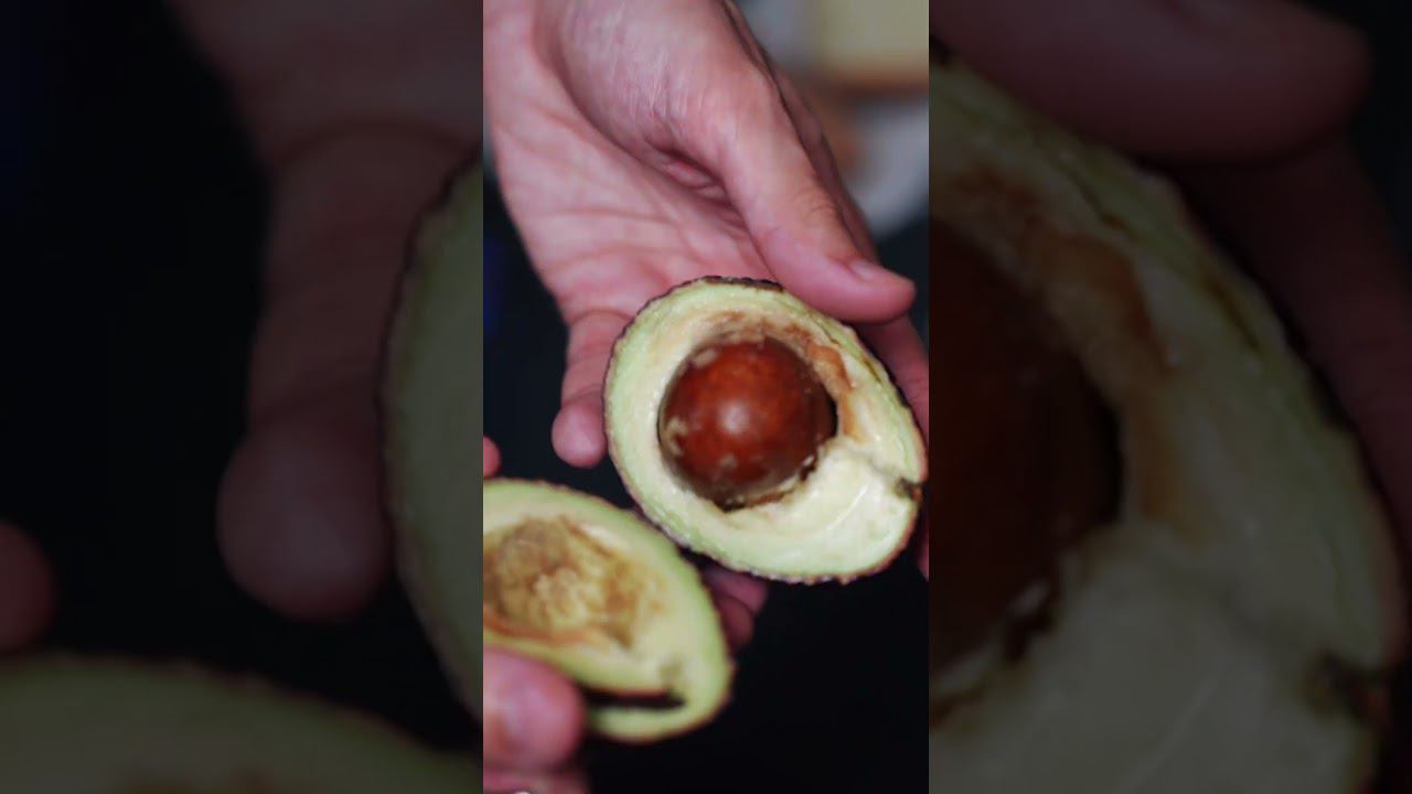 Готовим брускетту с креветками от А-Икра #shorts смотреть онлайн