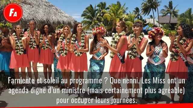 Miss France 2020 Yoga, Art De La Table, Défilé, Test De Culture Général Le Programme Chargé De смотреть онлайн